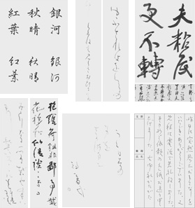 �����������u�����v